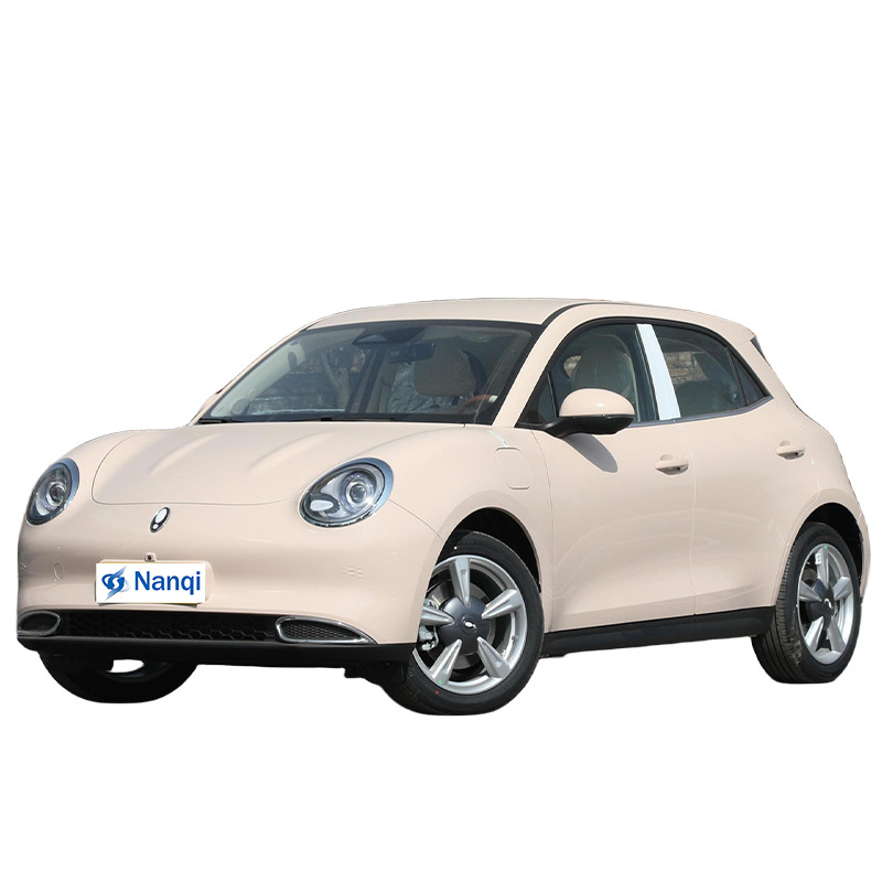 ORA Goede Cat Pure Electric 5 zitplaatsen Hatchback Auto's Hoogklasse En Uitstekend