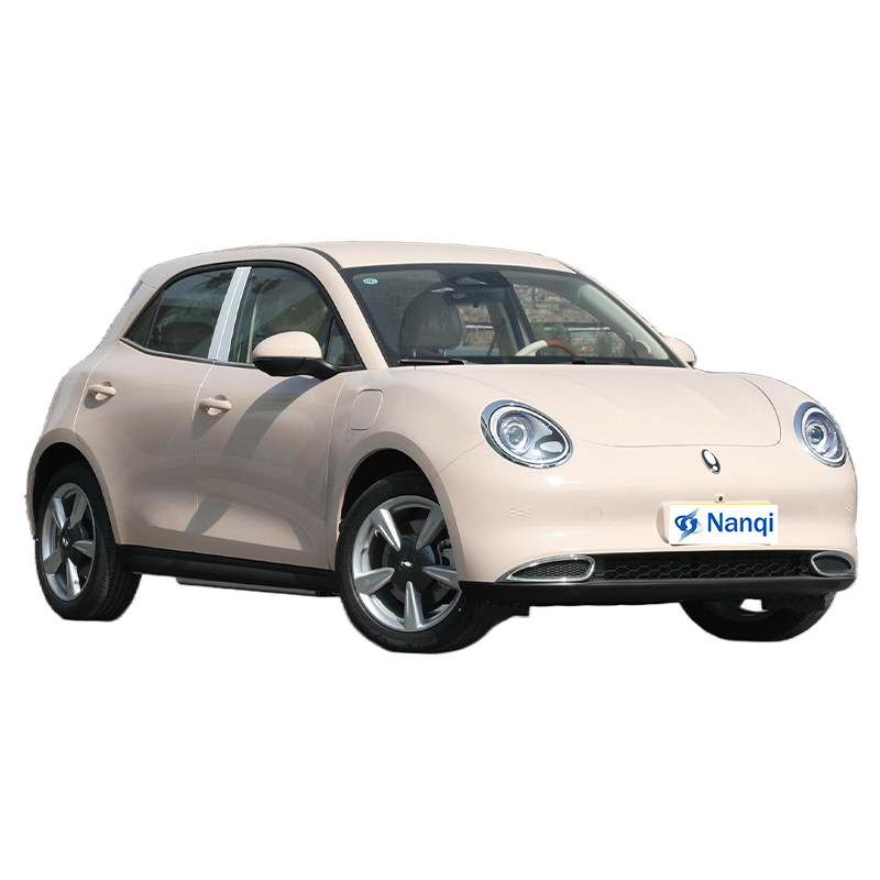 ORA Goede Cat Pure Electric 5 zitplaatsen Hatchback Auto's Hoogklasse En Uitstekend