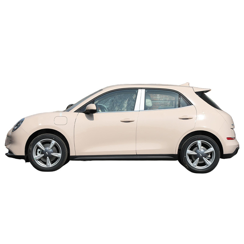 ORA Goede Cat Pure Electric 5 zitplaatsen Hatchback Auto's Hoogklasse En Uitstekend