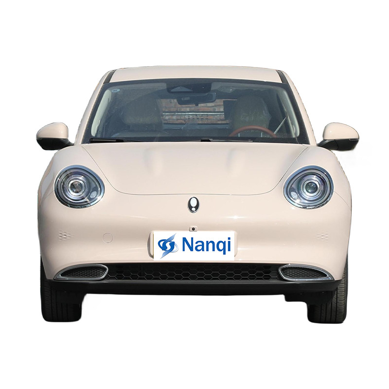 ORA Goede Cat Pure Electric 5 zitplaatsen Hatchback Auto's Hoogklasse En Uitstekend