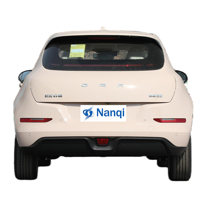 ORA Goede Cat Pure Electric 5 zitplaatsen Hatchback Auto's Hoogklasse En Uitstekend