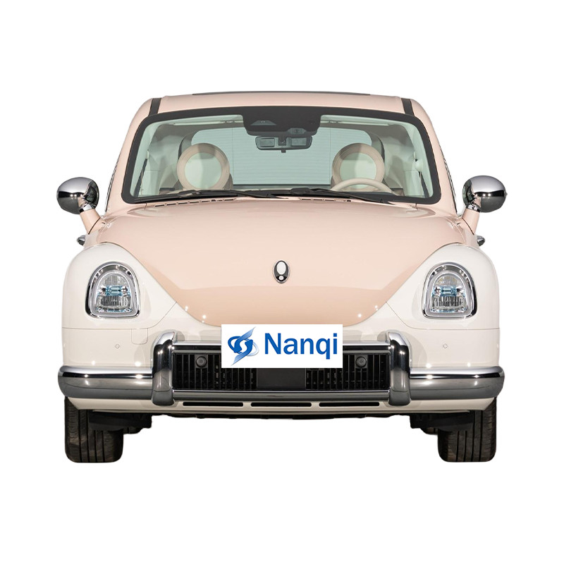 ORA Ballet Cat 500 km Zuiver elektrisch voertuig 5-deurs 5-zits hatchback